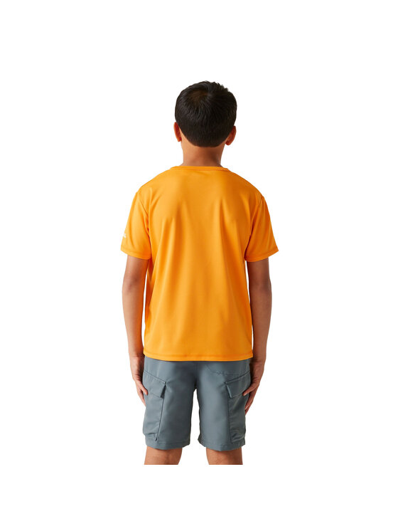Regatta Regatta T-Shirt Alvarado IX Złoty Short Fit