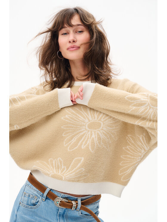 blue shadow blue shadow Sweter Taris Beżowy Regular Fit