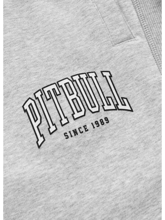 PITBULL PITBULL Szorty sportowe BADGER Szary Regular Fit