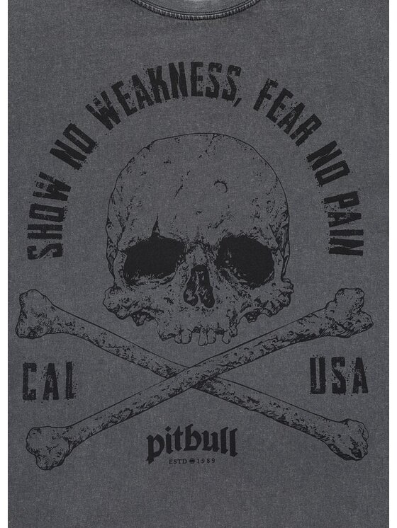 PITBULL PITBULL T-Shirt FEAR NO PAIN Szary Regular Fit