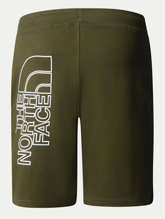 The North Face The North Face Sporta šorti Graphic NF0A3S4F Zaļš Regular Fit