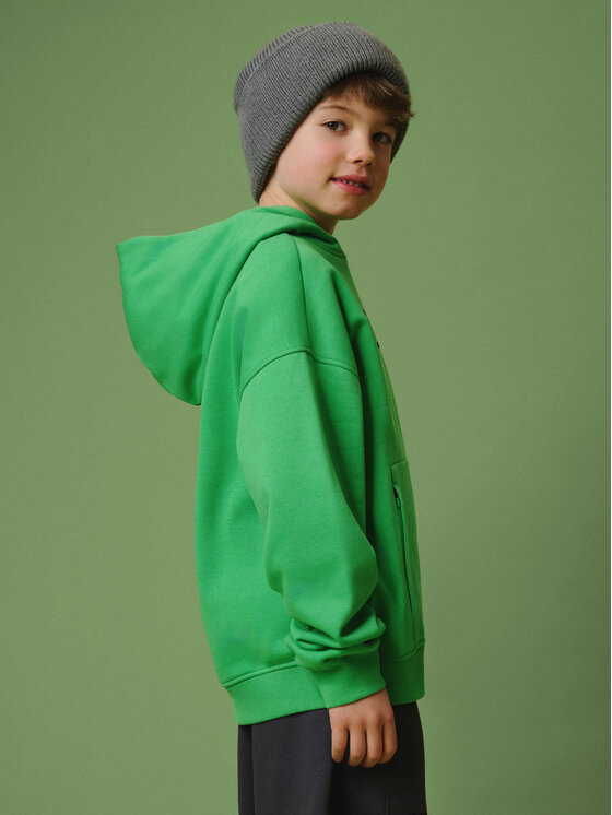 4F 4F Bluza ENJOY THE OUTDOORS Zielony Loose Fit