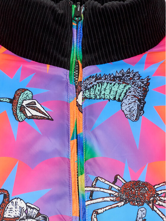 Volcom Volcom Zimska jakna Chrissie Abbot A1632206 Šarena Regular Fit