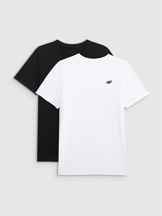 4F 4F T-Shirt NOS Kolorowy Regular Fit