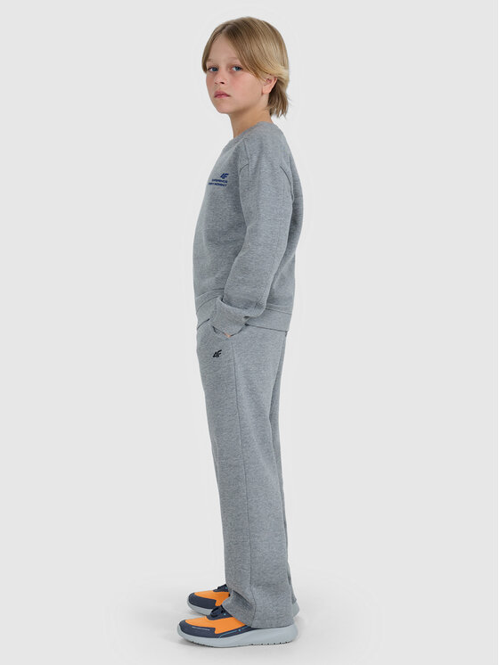 4F 4F Spodnie dresowe BASIC+ Szary Regular Fit