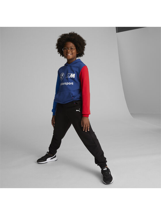 Puma Puma Spodnie dresowe 621262 Czarny Regular Fit