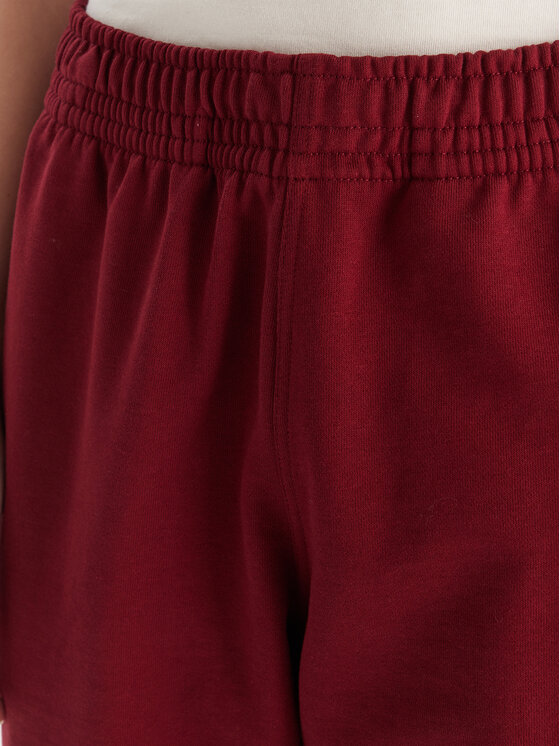 Calvin Klein Jeans Calvin Klein Jeans Sporta bikses Monologo LV047B235G Bordo Regular Fit