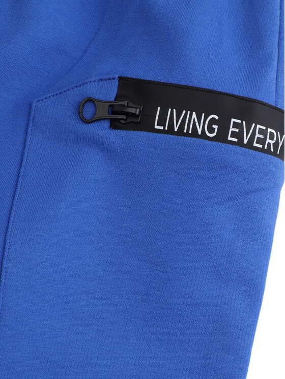 Coccodrillo Coccodrillo Pantaloni scurți sport WC5120501IBJ Albastru Regular Fit