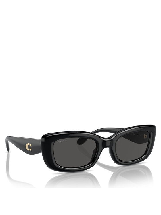 Coach Coach Sonnenbrillen 0HC8390U 500287 Schwarz