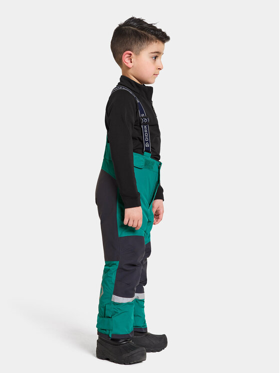 Didriksons Didriksons Zimske hlače Idre Kids Pants 6 504357 Zelena