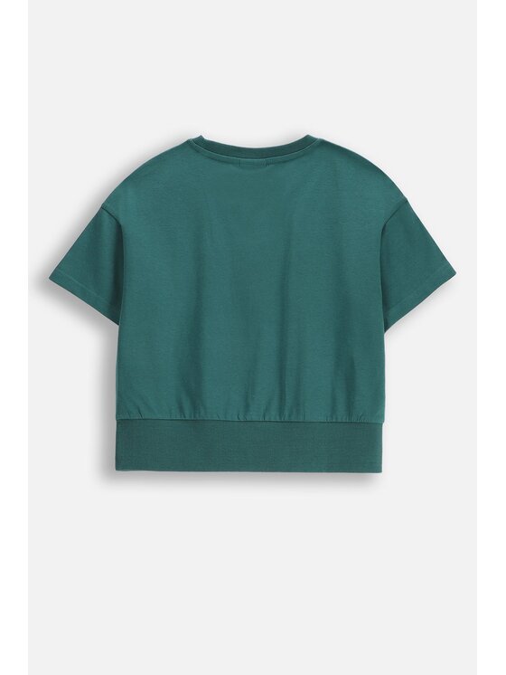 Coccodrillo Coccodrillo T-Shirt WC5143203MGJ-011 Zielony Regular Fit