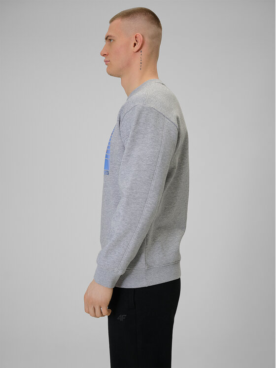 4F 4F Bluza WINTER CODE Szary jasny Regular Fit