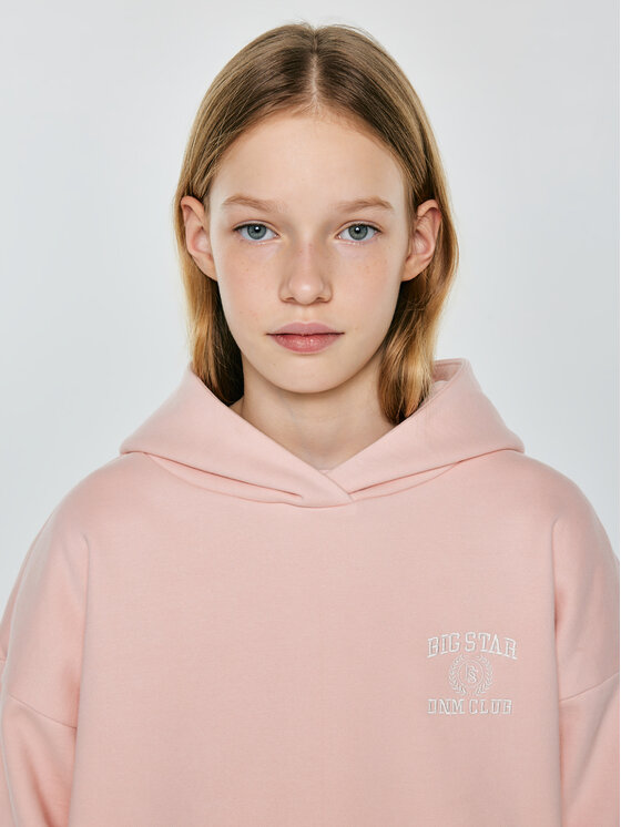 BIG STAR BIG STAR Bluza ALANA Różowy Basic Fit