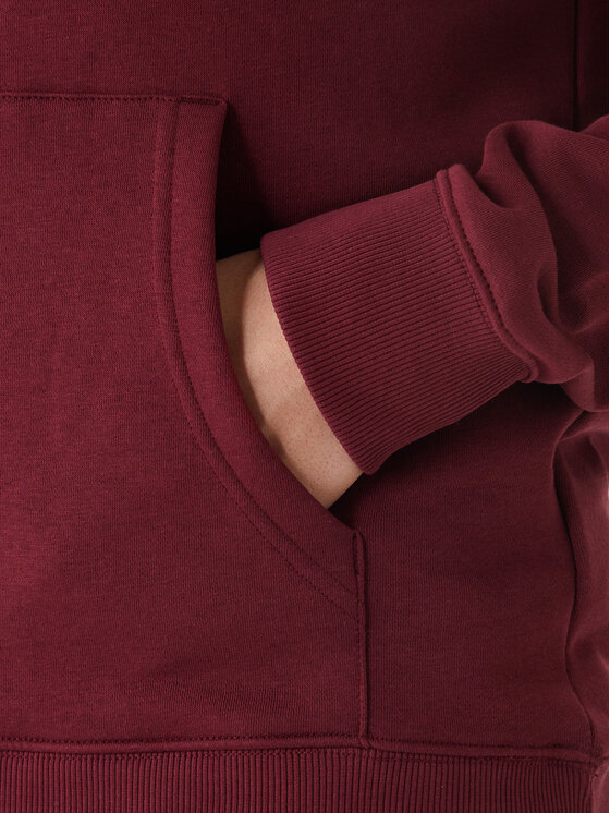 Element Element Džemperis ar kapuci Icon Embroidery ELYFT00199 Bordo Regular Fit