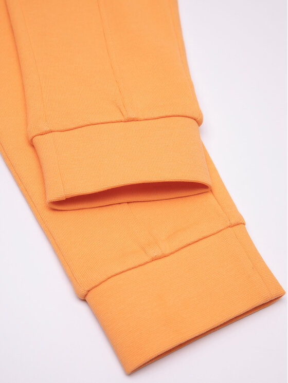 Coccodrillo Coccodrillo Donji dio trenerke WC3120101DRK Narančasta Regular Fit