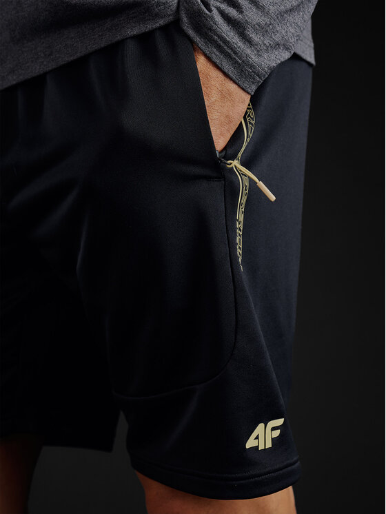 4F 4F Szorty sportowe GOLDEN WARRIOR Czarny Regular Fit