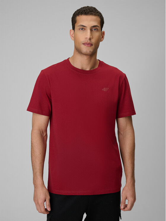 4F 4F T-Shirt ESSENTIAL 2 Kolorowy Regular Fit
