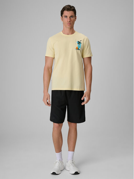 4F 4F T-Shirt CATCH THE WAVE Żółty jasny Regular Fit