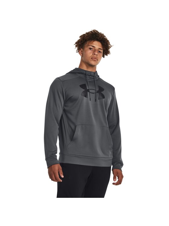 Under Armour Under Armour Bluza Fleece Big Logo HD Szary Basic Fit