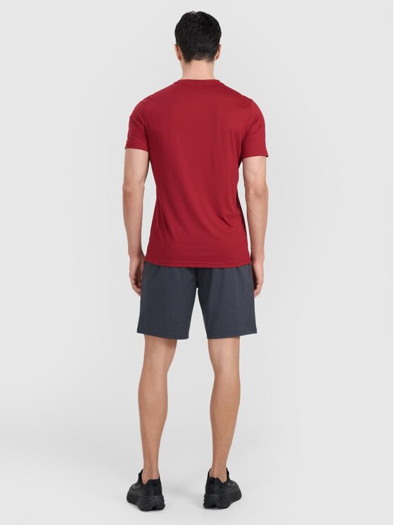 4F 4F Šortky 4FWMM00TFSHM1310-22M Sivá Regular Fit