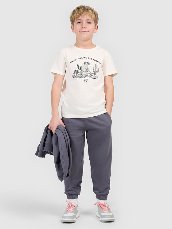 4F 4F T-Shirt HIKING TRIP Biały Regular Fit
