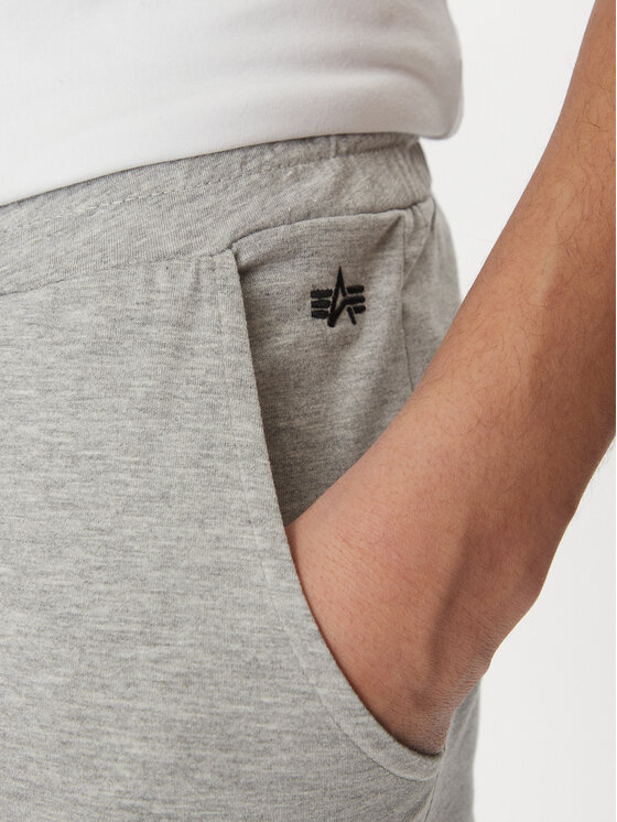 Alpha Industries Alpha Industries Αθλητικό σορτς 116366 Γκρι Regular Fit