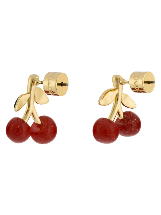 Coach Coach Auskarai 37517791 Spalvota