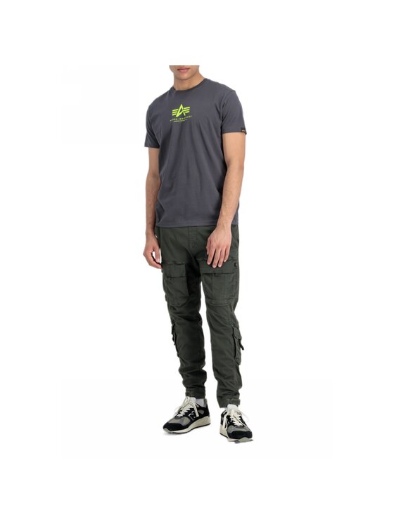 Alpha Industries Alpha Industries Tričko AI.118533-684-XL Sivá Basic Fit