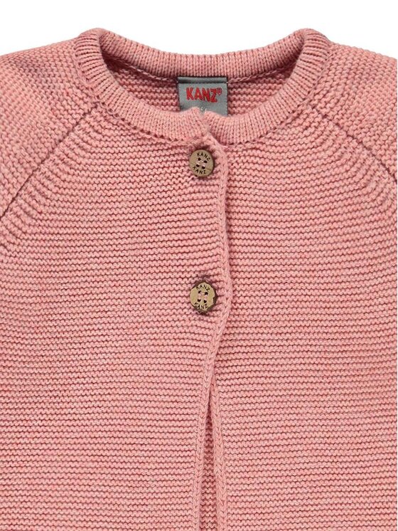 Kanz Kanz Bluza 2122857-8532 Różowy Basic Fit