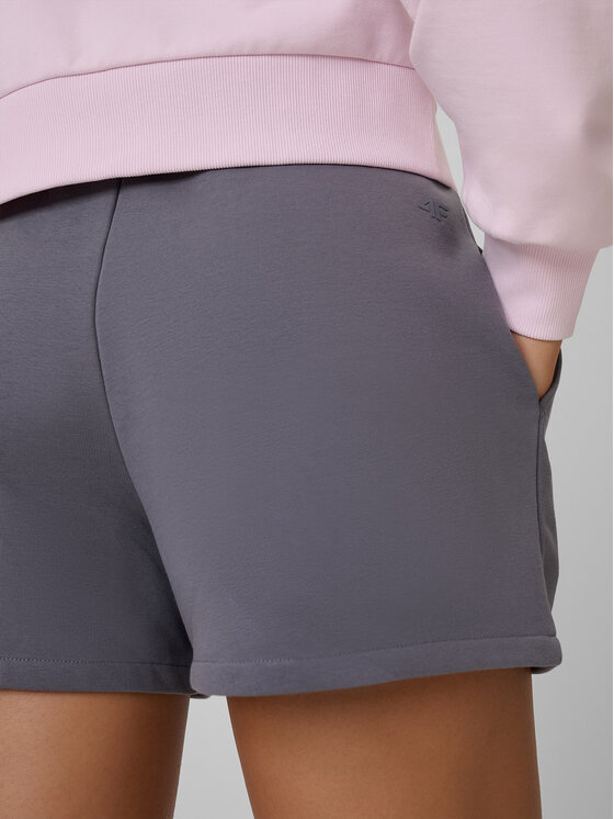 4F 4F Športové kraťasy ESSENTIAL 4 Sivá Regular Fit