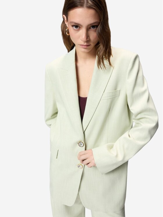 PINKO PINKO Giacca da donna FAITH GIACCA FRISOTTINO Verde Comfort Fit