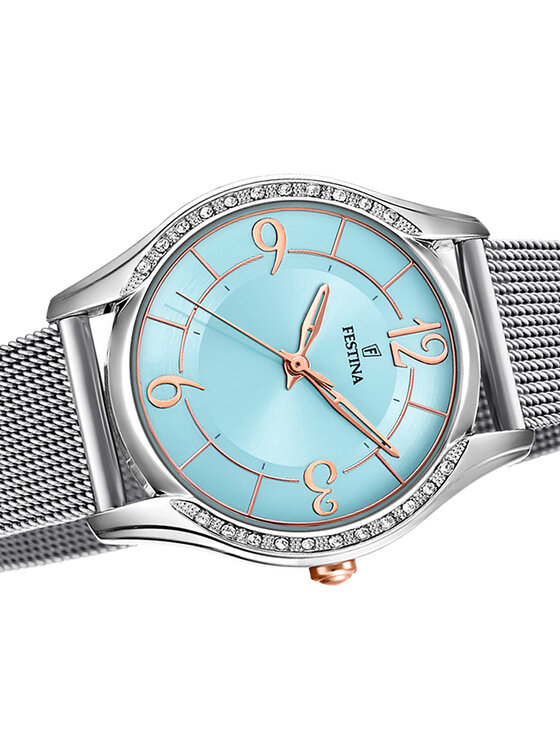 Festina Festina Ρολόι F20420-3 Ασημί