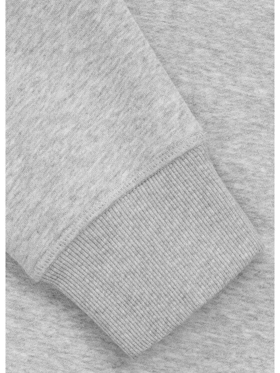 PITBULL PITBULL Bluza BADGER Szary Regular Fit