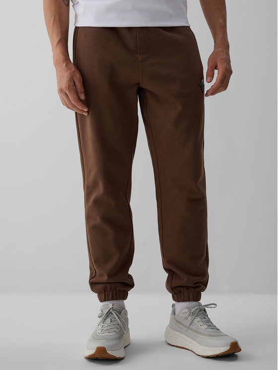 4F 4F Spodnie dresowe OVERLAND Brązowy Regular Fit