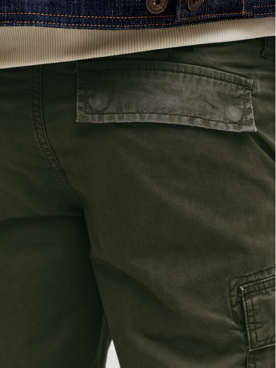 Jack & Jones Jack & Jones Riidest šortsid Cole Frank 12291369 Roheline Regular Fit