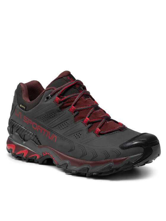 Trekkingi, rozmiar 42, Szary, Ultra Raptor II Leather Gtx GORE-TEX 34F900316