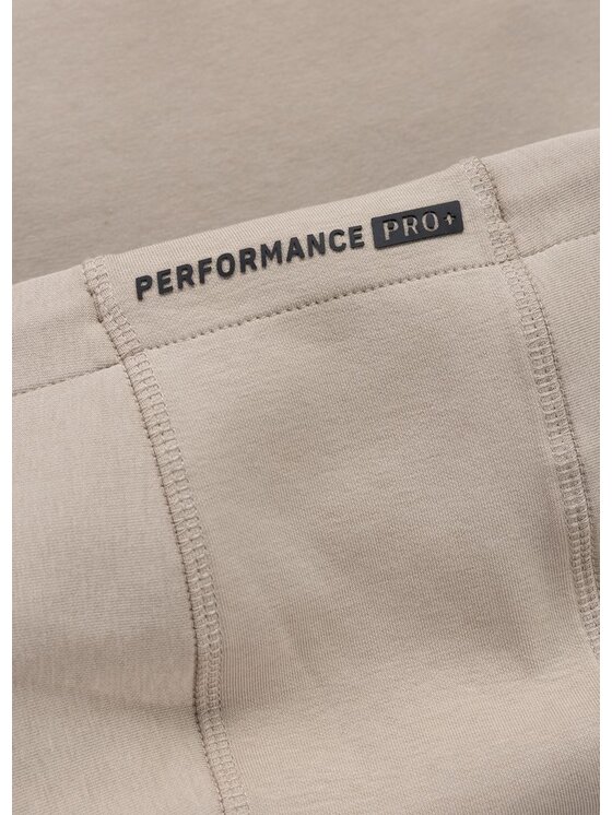 PITBULL PITBULL Bluza EXPLORY Brązowy Regular Fit