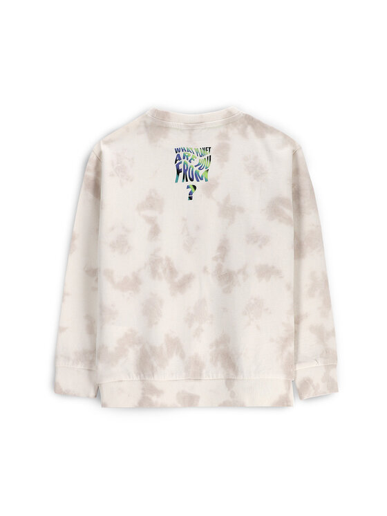 Coccodrillo Coccodrillo Felpa WC5132101CBK Beige Regular Fit
