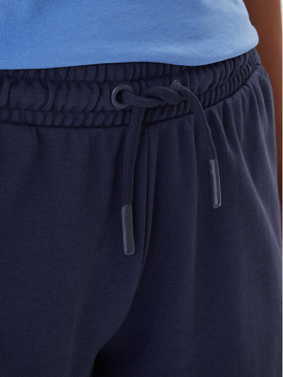 Kappa Kappa Спортивні шорти Fefra 351K2RW Cиній Regular Fit