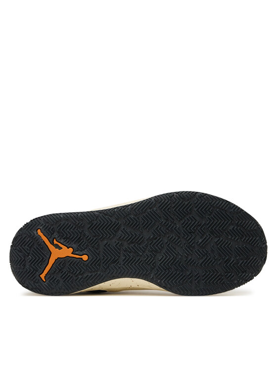 Nike Nike Basketballschuhe Day1 E.O. (GS) FQ1306 103 Beige