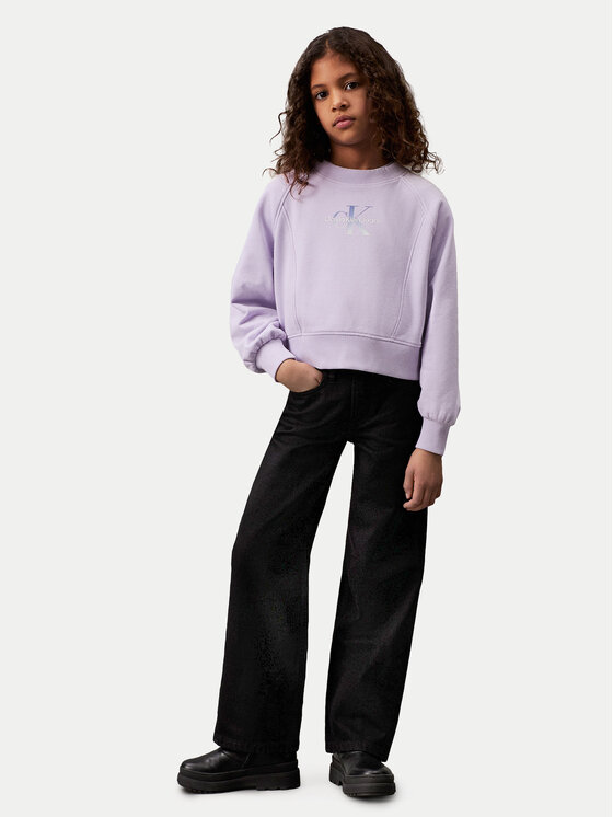 Calvin Klein Jeans Calvin Klein Jeans Суитшърт Gradient Monogram IG0IG02539 Виолетов Regular Fit