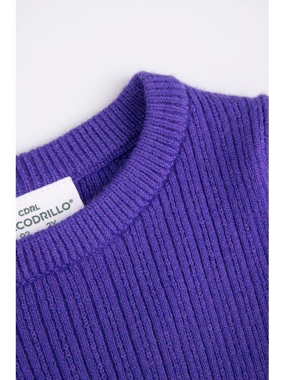 Coccodrillo Coccodrillo Sveter ZC5172102RGK-016 Fialová Regular Fit