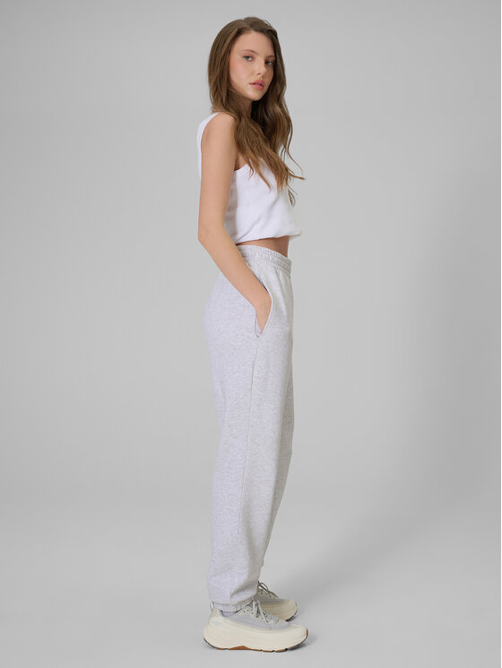 4F 4F Spodnie dresowe BASIC+ Szary jasny Regular Fit