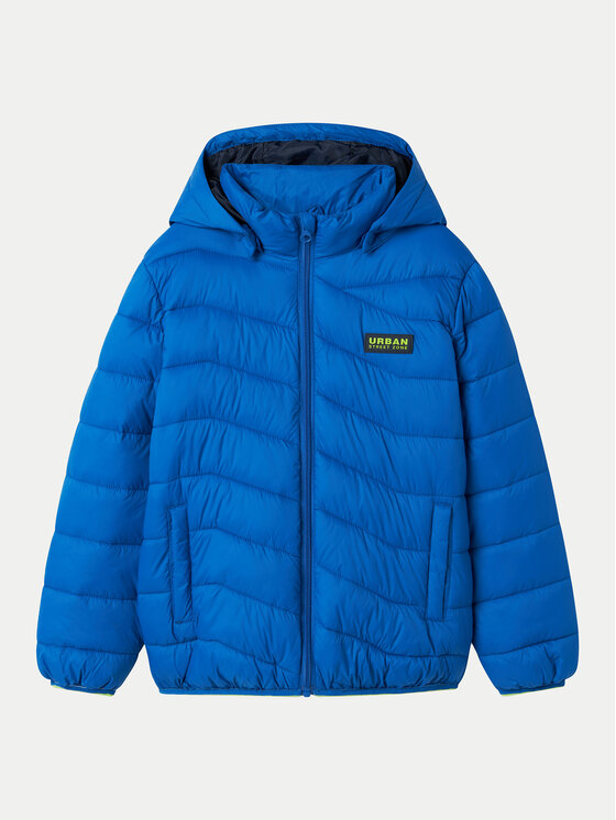NAME IT NAME IT Зимно яке 13227814 Син Regular Fit