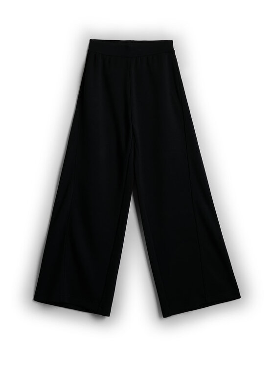 4F 4F Spodnie dresowe ESSENTIAL Czarny Regular Fit