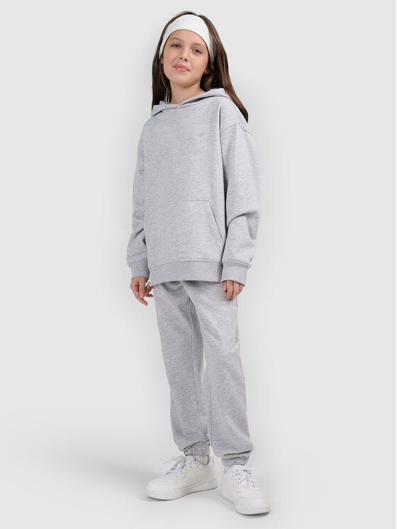 4F 4F Spodnie dresowe BASIC+ Szary Oversize