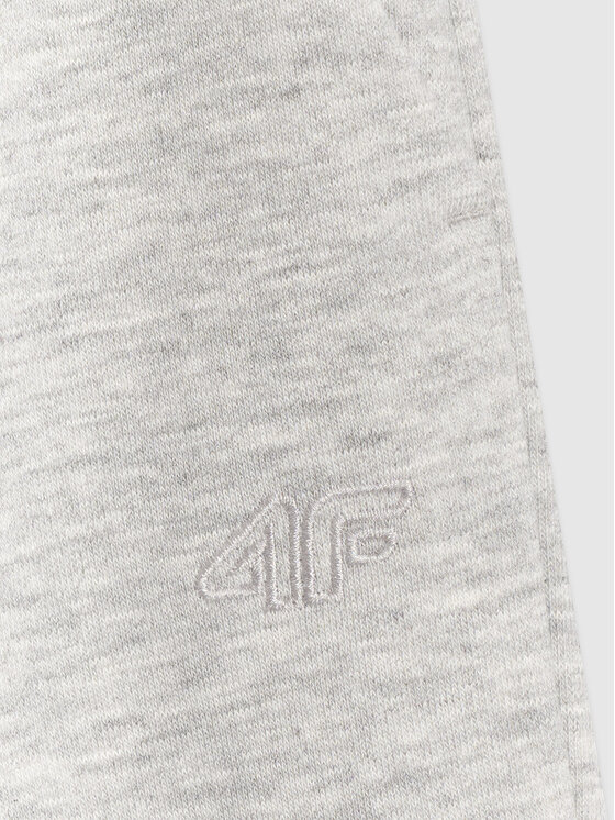 4F 4F Spodnie dresowe BASIC+ Szary Oversize