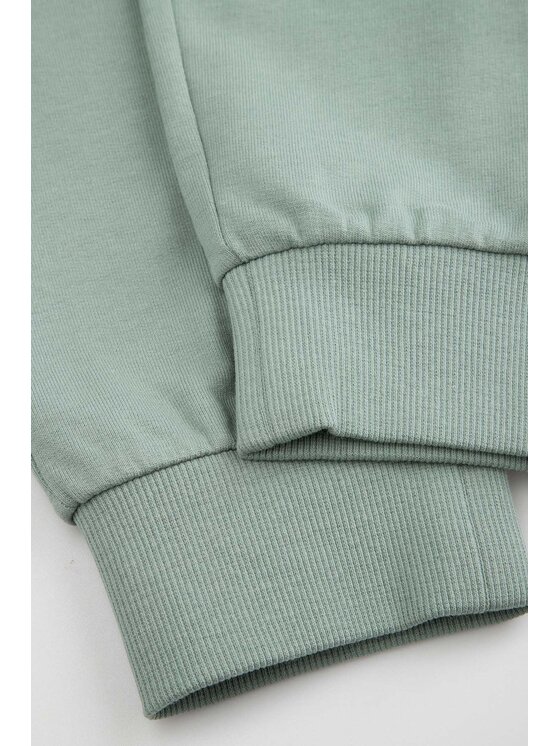 Coccodrillo Coccodrillo Teplákové kalhoty WC6120104NBK-011 Zelená Regular Fit