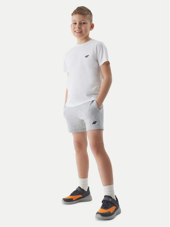 4F 4F Športne kratke hlače 4FJWSS24TSHOM272 Siva Regular Fit