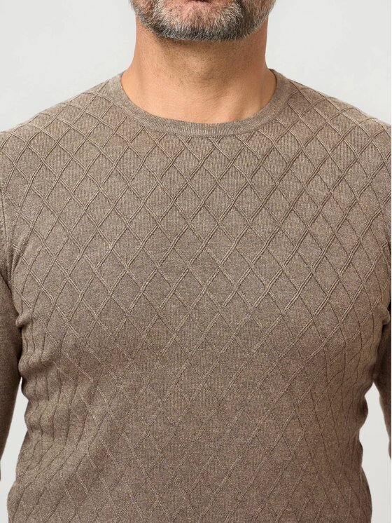 Willsoor Willsoor Sweter 71422 Brązowy Active Fit